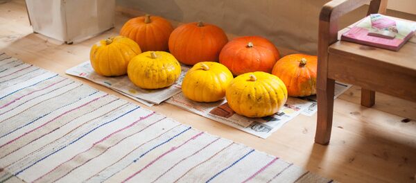 Thu hoạch bí ngô từ khu vườn của bảo tàng Old Believer Thu hoạch bí ngô từ khu vườn của bảo tàng Old Believer - Sputnik Việt Nam