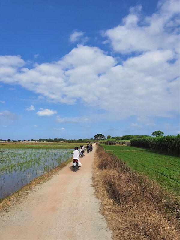 Tận mắt chiêm ngưỡng ngoài đời thực hình ảnh cây cô đơn, trường tiểu học Đo Đo trong phim “Mắt biếc” - Sputnik Việt Nam