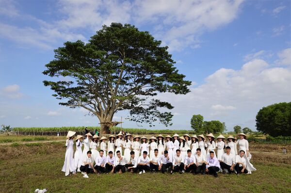 Tận mắt chiêm ngưỡng ngoài đời thực hình ảnh cây cô đơn, trường tiểu học Đo Đo trong phim “Mắt biếc” - Sputnik Việt Nam