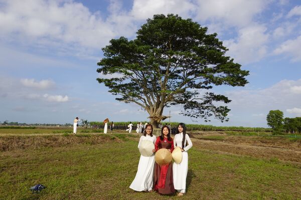Tận mắt chiêm ngưỡng ngoài đời thực hình ảnh cây cô đơn, trường tiểu học Đo Đo trong phim “Mắt biếc” - Sputnik Việt Nam