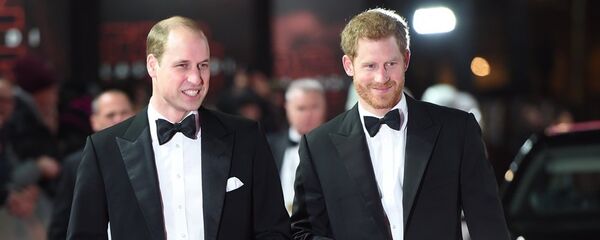 Hoàng tử William và Hoàng tử Harry  - Sputnik Việt Nam