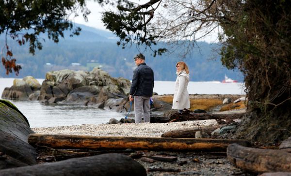 Thành phố North Saanich, nơi Hoàng tử Harry và công nương Meghan có thể chuyển đến - Sputnik Việt Nam