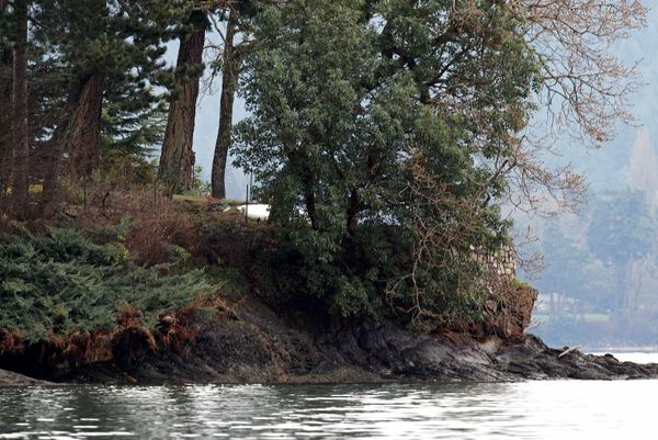Thành phố North Saanich, nơi Hoàng tử Harry và công nương Meghan có thể chuyển đến - Sputnik Việt Nam