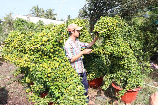 Nghệ nhân làm cây cảnh hình chuột - linh vật năm 2020, Hà Nội, Việt Nam Nghệ nhân làm cây cảnh hình chuột - linh vật năm 2020, Hà Nội, Việt Nam - Sputnik Việt Nam