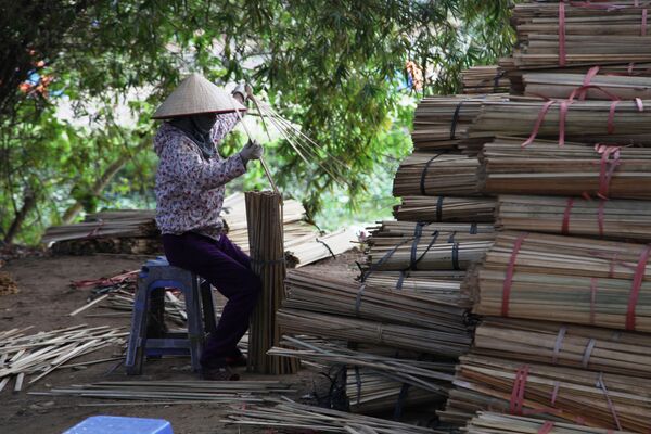 Người phụ nữ loại bỏ những thanh tre hỏng - Sputnik Việt Nam