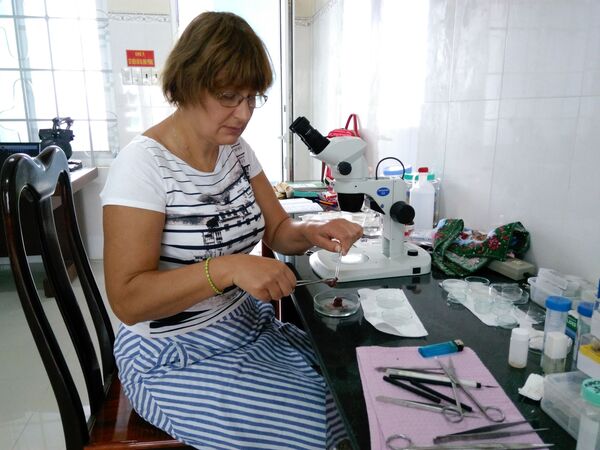 Các nhà khoa học của Crưm Nga tham gia nhgiên cứu hệ sinh thái rừng và nước ở Việt nam - Sputnik Việt Nam