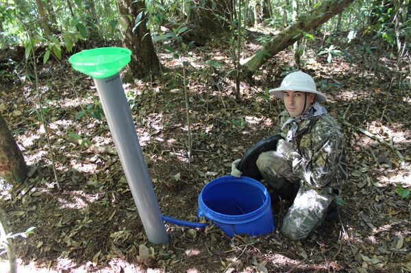 Các nhà khoa học của Crưm Nga tham gia nhgiên cứu hệ sinh thái rừng và nước ở Việt nam - Sputnik Việt Nam
