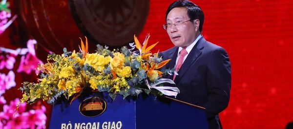 Phó Thủ tướng Phạm Bình Minh phát biểu khai mạc chương trình Xuân Quê hương năm 2020 Phó Thủ tướng Phạm Bình Minh phát biểu khai mạc chương trình Xuân Quê hương năm 2020 - Sputnik Việt Nam