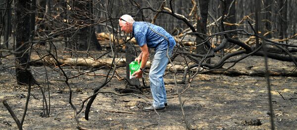 Nhà sinh thái học mang thức ăn cho những con vật ở gần ngôi nhà bị lửa thiêu ở Australia Nhà sinh thái học mang thức ăn cho những con vật ở gần ngôi nhà bị lửa thiêu ở Australia - Sputnik Việt Nam