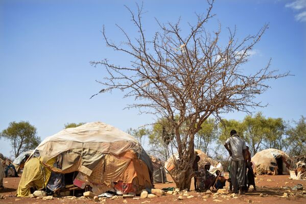 Núp trong bóng cây tránh ánh mặt trời thiêu đốt ở Baidobo, Somalia, năm 2017 - Sputnik Việt Nam