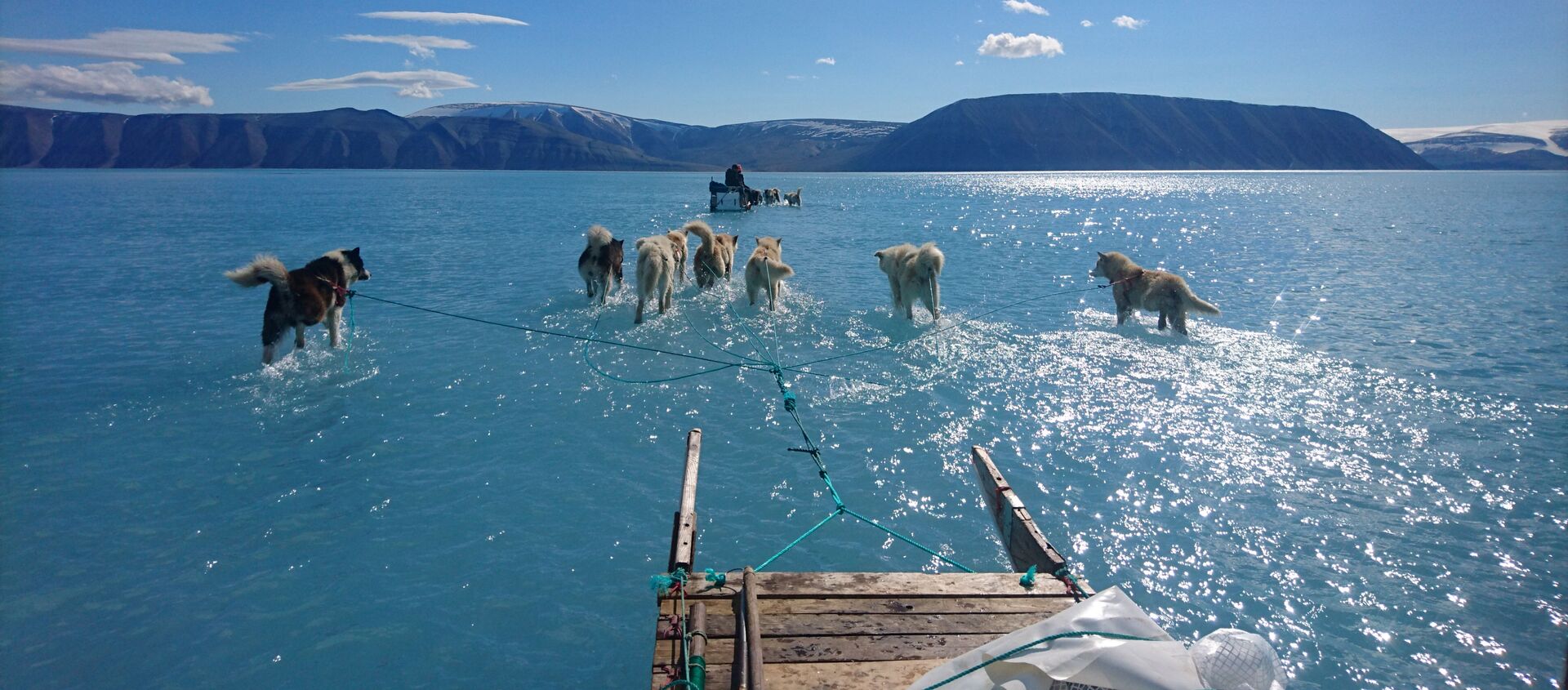 Những con chó kéo xe trượt tuyết trên mặt nước phủ băng của Greenland - Sputnik Việt Nam, 1920, 28.11.2020