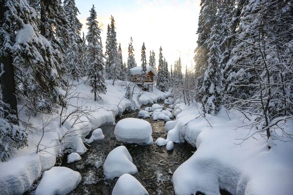 Con sông trong Khu dự trữ sinh quyển thiên nhiên Lapland - Sputnik Việt Nam