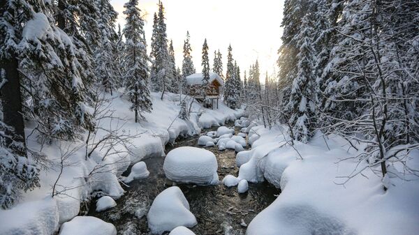 Con sông trong Khu dự trữ sinh quyển thiên nhiên Lapland - Sputnik Việt Nam