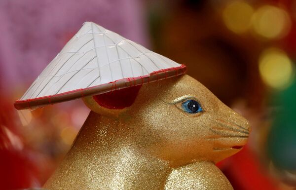 Canh Tý 2020: Tuổi xông đất, kiêng kỵ và phong tục của người Việt - Sputnik Việt Nam