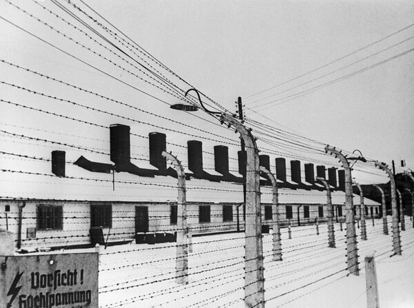 Địa ngục trần gian. Hồng quân đã nhìn thấy gì sau khi giải phóng trại tập trung Auschwitz - Sputnik Việt Nam
