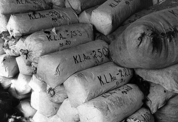 Địa ngục trần gian. Hồng quân đã nhìn thấy gì sau khi giải phóng trại tập trung Auschwitz - Sputnik Việt Nam