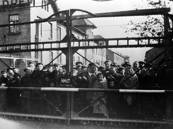 Địa ngục trần gian. Hồng quân đã nhìn thấy gì sau khi giải phóng trại tập trung Auschwitz - Sputnik Việt Nam