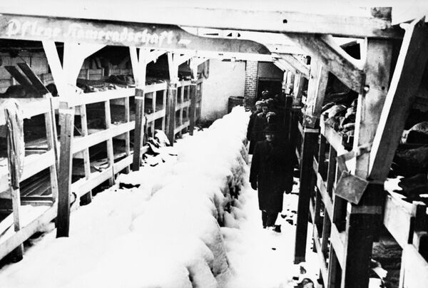 Địa ngục trần gian. Hồng quân đã nhìn thấy gì sau khi giải phóng trại tập trung Auschwitz - Sputnik Việt Nam