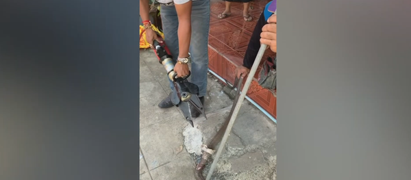 Rắn hổ mang chúa mắc kẹt trong bồn rửa nhà bếp - Sputnik Việt Nam