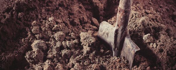 Сái xẻng  - Sputnik Việt Nam