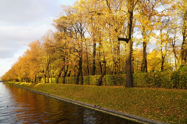 Ấn tượng nước Nga: Người Việt trải nghiệm nước Nga cả bốn mùa - Sputnik Việt Nam