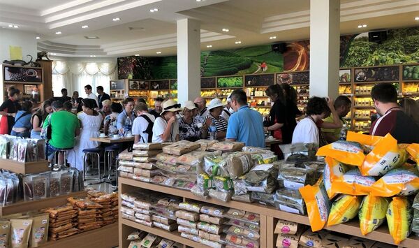 Một triệu khách du lịch Nga trong năm 2020: nCoV – cản trở lớn nhất Một triệu khách du lịch Nga trong năm 2020: nCoV – cản trở lớn nhất - Sputnik Việt Nam