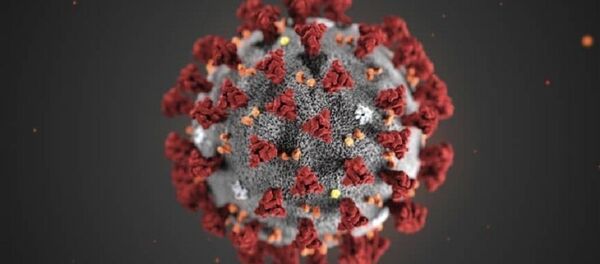 Hình ảnh chủng mới của virus Corona gây dịch bệnh viêm đường hô hấp cấp được WHO đặt tên là Covid-19.  - Sputnik Việt Nam