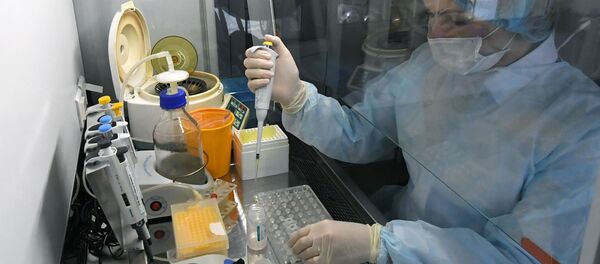 Các hệ thống xét nghiệm chẩn đoán coronavirus mới tại Trung tâm Dịch vụ Vệ sinh và Dịch tễ học ở Lãnh thổ Krasnoyarsk - Sputnik Việt Nam