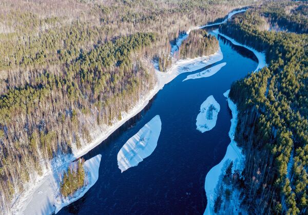 Sông Shuya ở khu vực Pryazhinsky, Cộng hòa Karelia, LB Nga - Sputnik Việt Nam