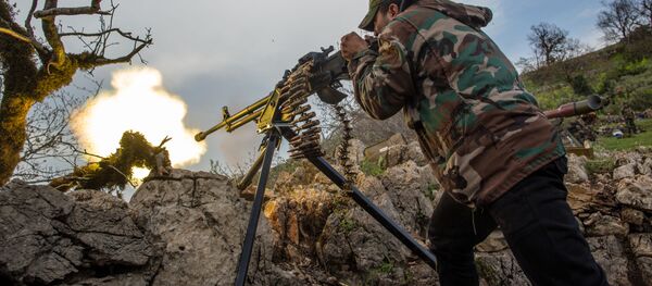 Những khung hình tuyệt đẹp của Andrey Stenin - Sputnik Việt Nam