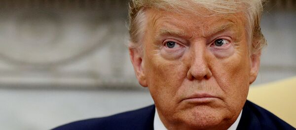 Tổng thống Mỹ Donald Trump - Sputnik Việt Nam