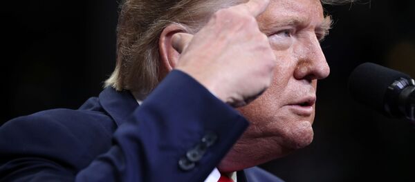 Tổng thống Mỹ Donald Trump - Sputnik Việt Nam
