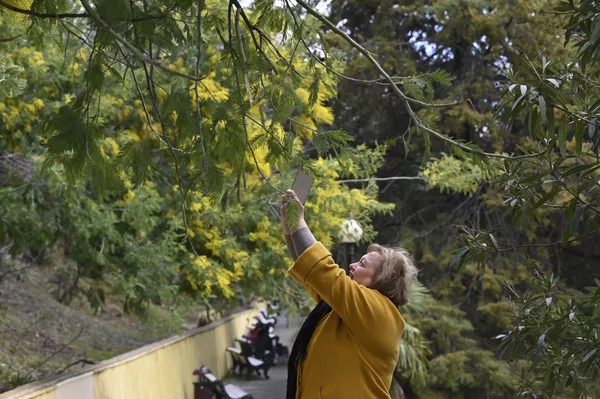 Người phụ nữ chụp ảnh mimosa nở hoa ở Sochi Người phụ nữ chụp ảnh mimosa nở hoa ở Sochi - Sputnik Việt Nam
