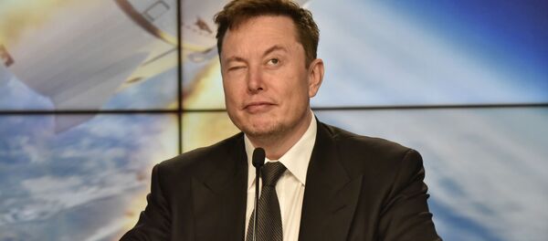 Người sáng lập Tesla Ilon Musk - Sputnik Việt Nam