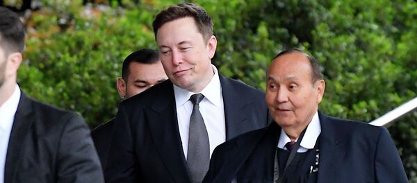 Tesla CEO Elon Musk - Sputnik Việt Nam