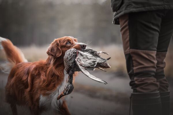 Bức ảnh Ánh mắt của nhiếp ảnh gia Estonia, Kristiina Tammik, đoạt giải National Awards (Estonia) của cuộc thi 2020 Sony World Photography Awards - Sputnik Việt Nam