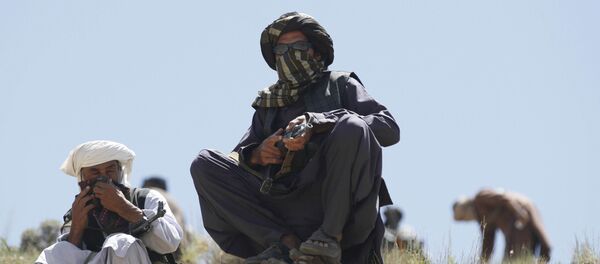 Taliban Afghanistan với vũ khí - Sputnik Việt Nam