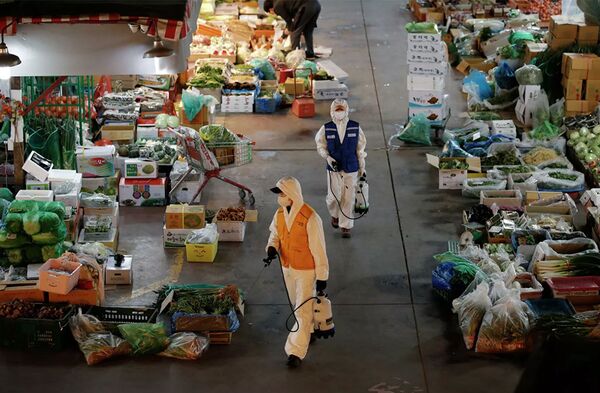 Tồi tệ hơn Trung Quốc: Bệnh dịch coronavirus bao trùm Hàn Quốc - Sputnik Việt Nam