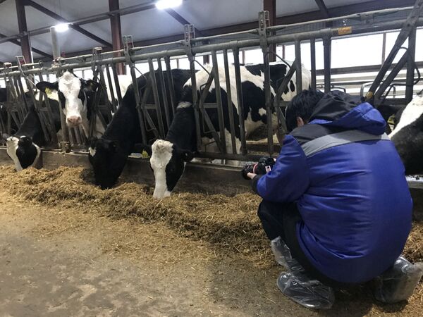 Rất muốn “chạm đến” nước Nga một lần nữa thật nhanh - Sputnik Việt Nam