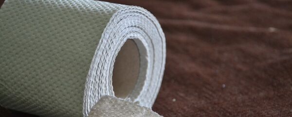 Giấy vệ sinh. symbolic - Sputnik Việt Nam