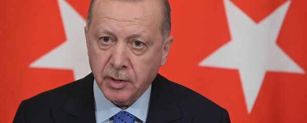 Tổng thống Thổ Nhĩ Kỳ Recep Tayyip Erdogan tại Điện Kremlin, Matxcơva  - Sputnik Việt Nam