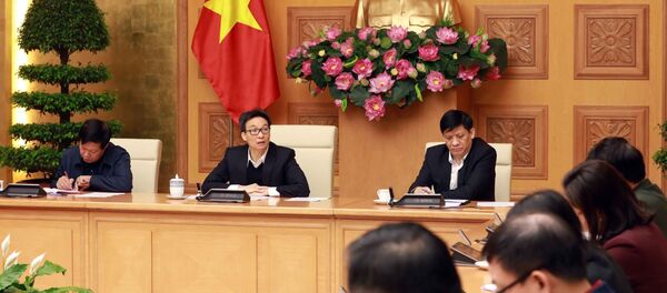  Phó Thủ tướng Chính phủ Vũ Đức Đam phát biểu chỉ đạo cuộc họp.  - Sputnik Việt Nam