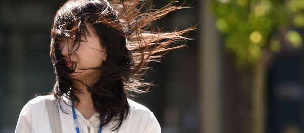 Женщина во время сильного ветра, вызванного тайфуном в Токио, Япония Женщина во время сильного ветра, вызванного тайфуном в Токио, Япония - Sputnik Việt Nam