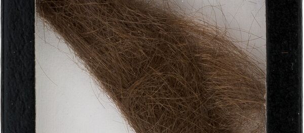 Тóc. Тóc. - Sputnik Việt Nam