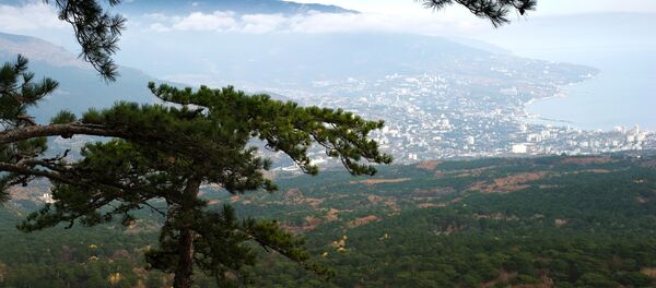 Cảnh núi và Yalta từ đường lên dãy Ai-Petri ở Crưm - Sputnik Việt Nam