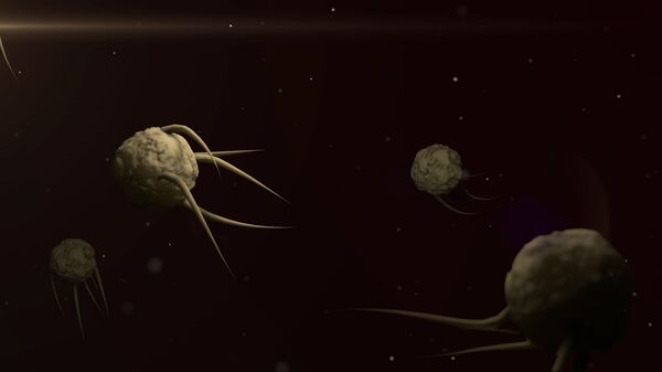 Tại sao coronavirus chưa bao giờ được coi là đặc biệt nguy hiểm? Tại sao coronavirus chưa bao giờ được coi là đặc biệt nguy hiểm? - Sputnik Việt Nam