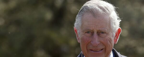 Thái tử Charles Thái tử Charles - Sputnik Việt Nam