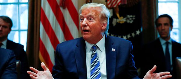 Tổng thống Mỹ Donald Trump Tổng thống Mỹ Donald Trump - Sputnik Việt Nam