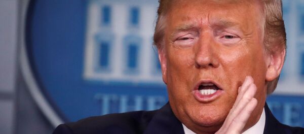 Президент США Дональд Трамп во время встречи с журналистами в Белом доме Президент США Дональд Трамп во время встречи с журналистами в Белом доме - Sputnik Việt Nam