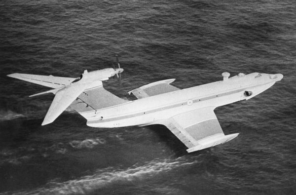 Chim hải âu lơ lửng trên sóng Chim hải âu lơ lửng trên sóng - Sputnik Việt Nam